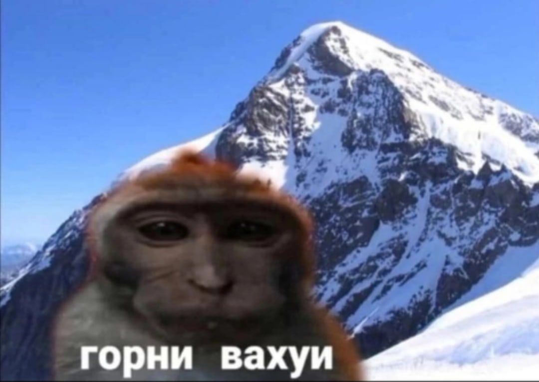 Горни вахуи