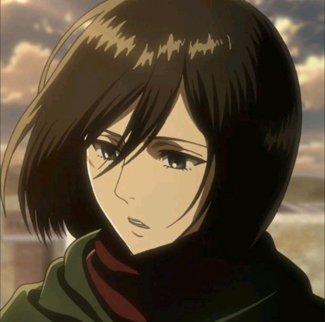 Mikasa steam profile фото 4